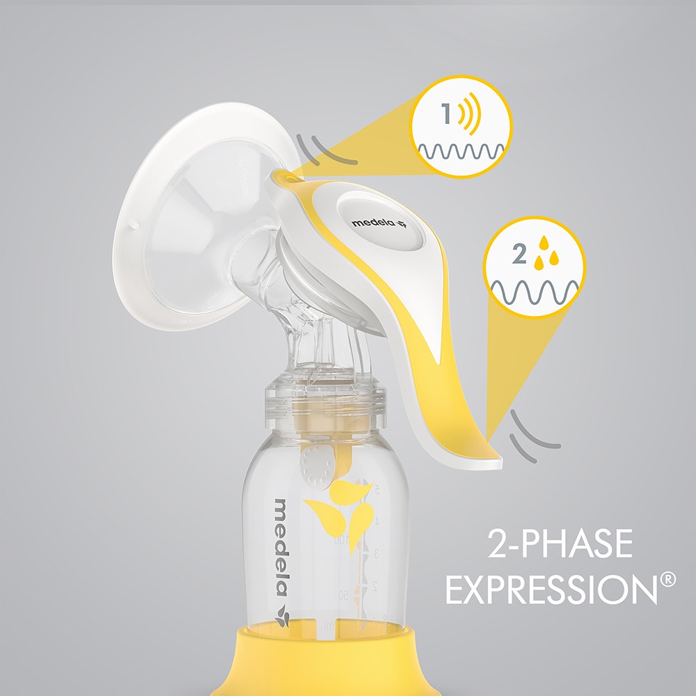 2_phase_expression1000.jpg