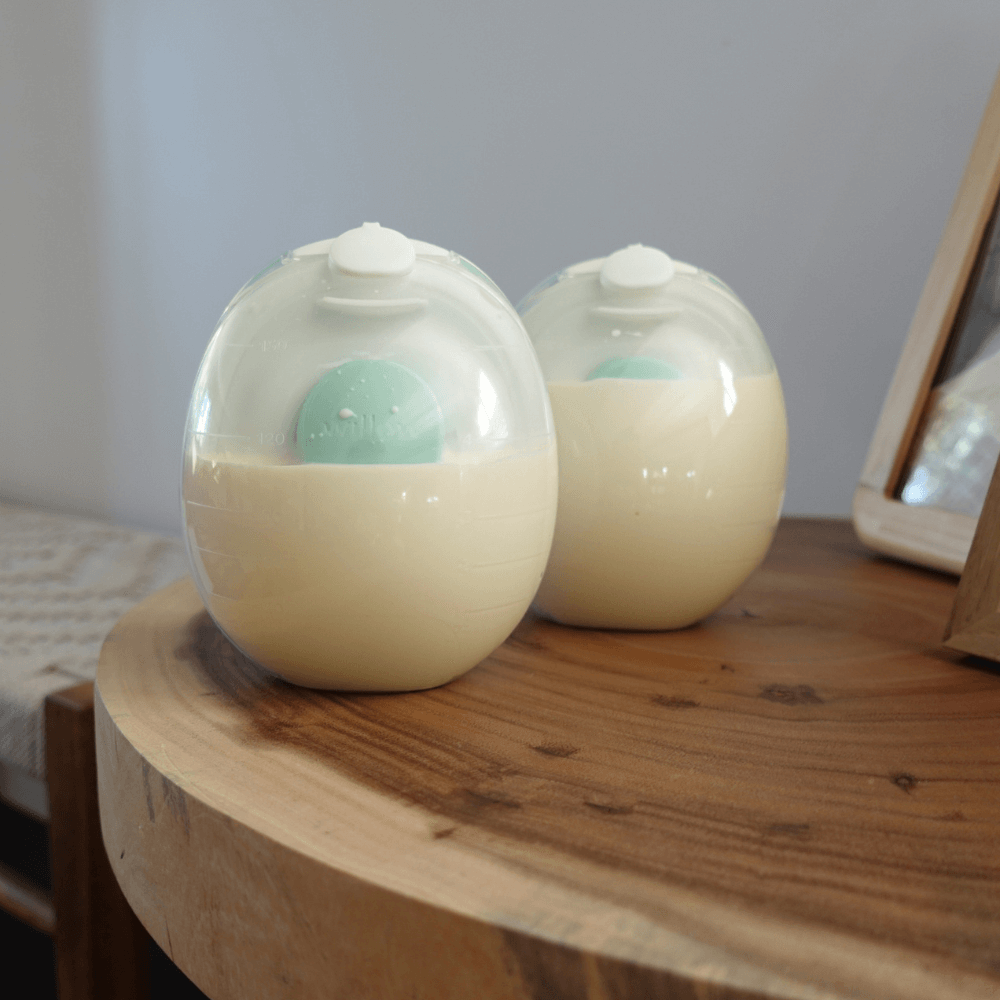 untitled_design_-_2024-12-30t100151.973_1_.png